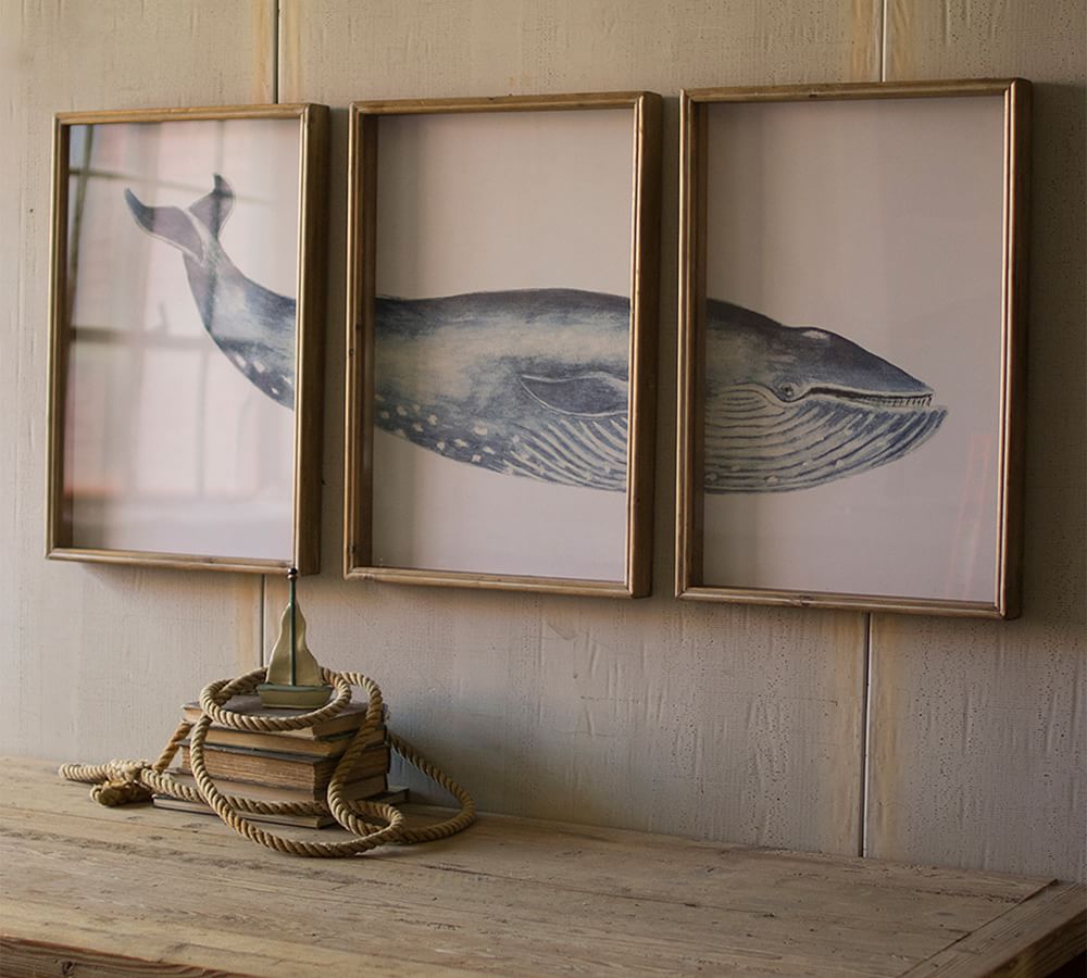 Triptych Framed Whale Print