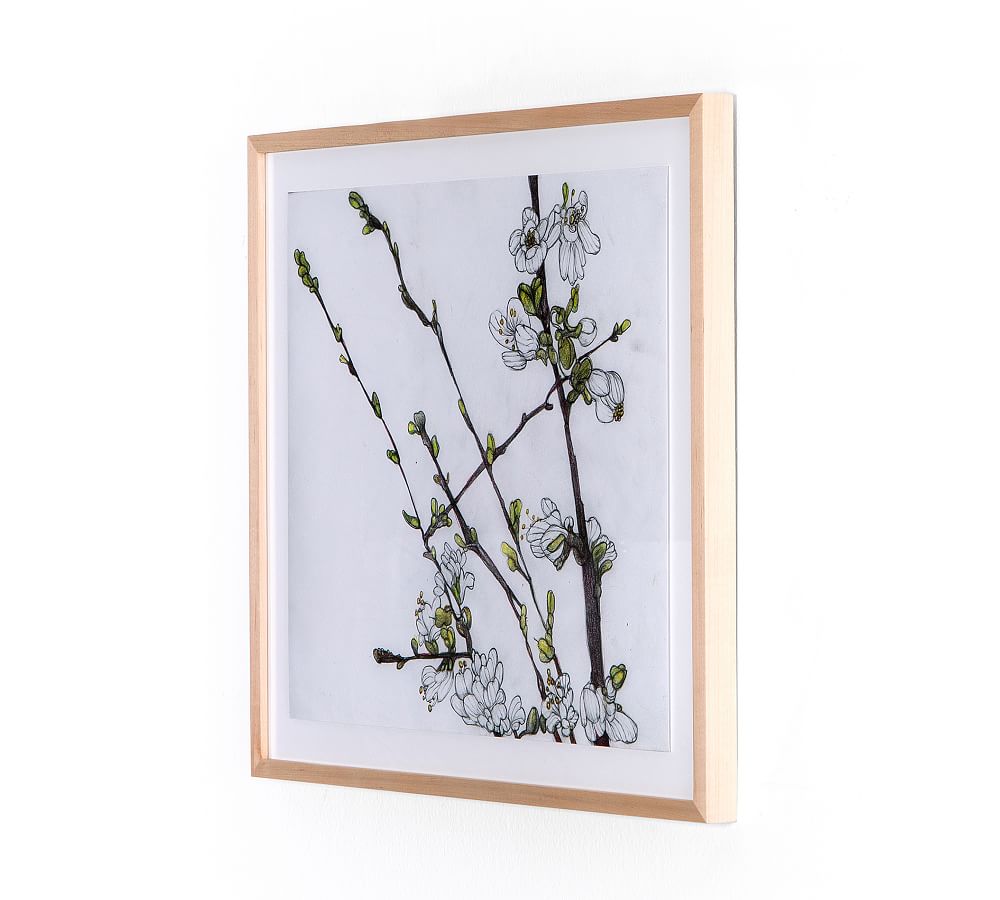 Cherry Blossoms Botanical Print Framed Wall Art Pottery Barn