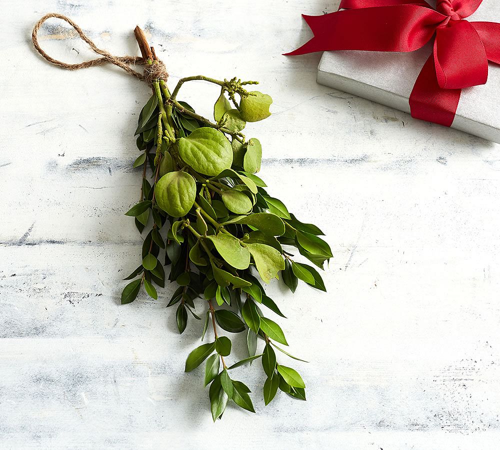 Metal Mistletoe Bunch Decoration (Pistachio) — Elephantstones Gallery