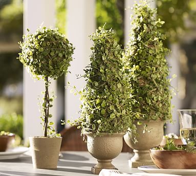 Faux Potted Baby Tears Topiary | Artificial Flowers | Pottery Barn