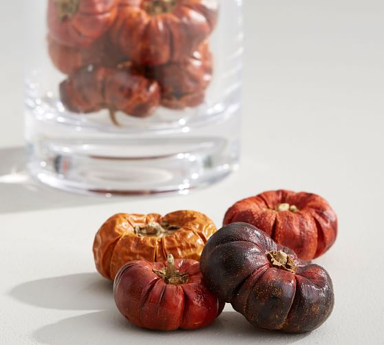 Dried Pumpinos Vase Filler Pottery Barn