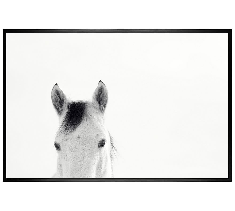 Modern White Horses by Jennifer Meyers