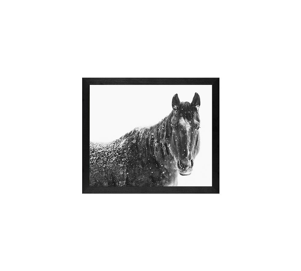 Snowy Black Horse Framed Print by Jennifer Meyers