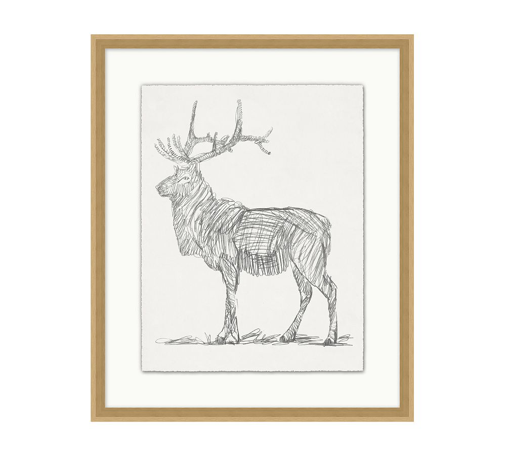 Moose & Elk Gesture Framed Print