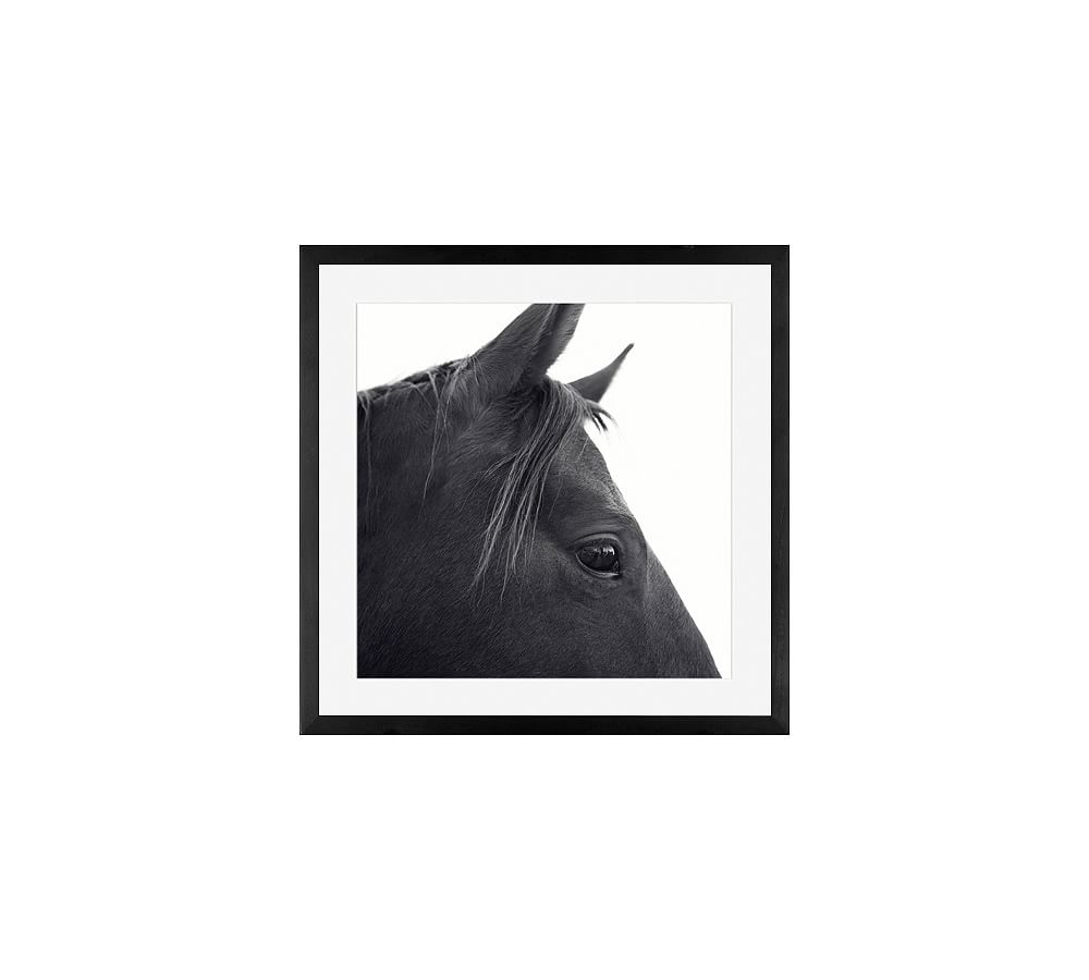 Dark Horse Profile Framed Prints by Jennifer Meyers