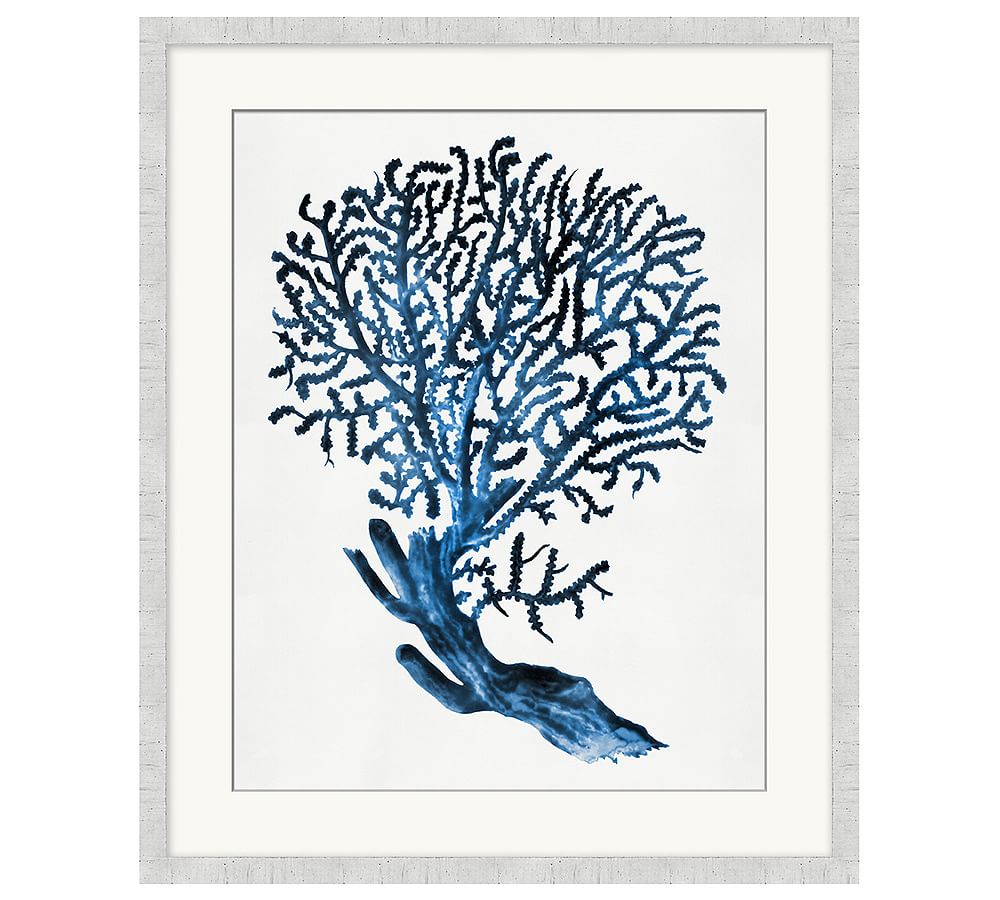 Coral Blue Framed Prints