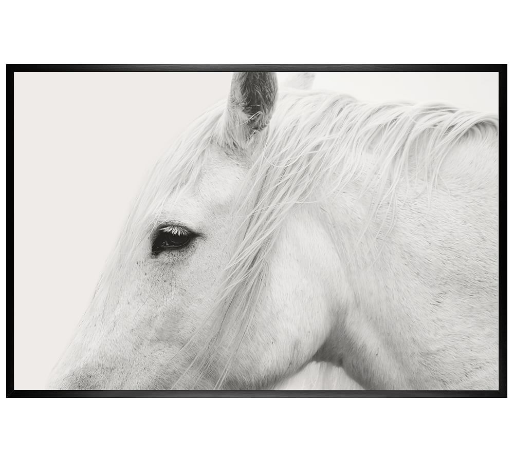 White Horse Framed Print by Jennifer Meyers