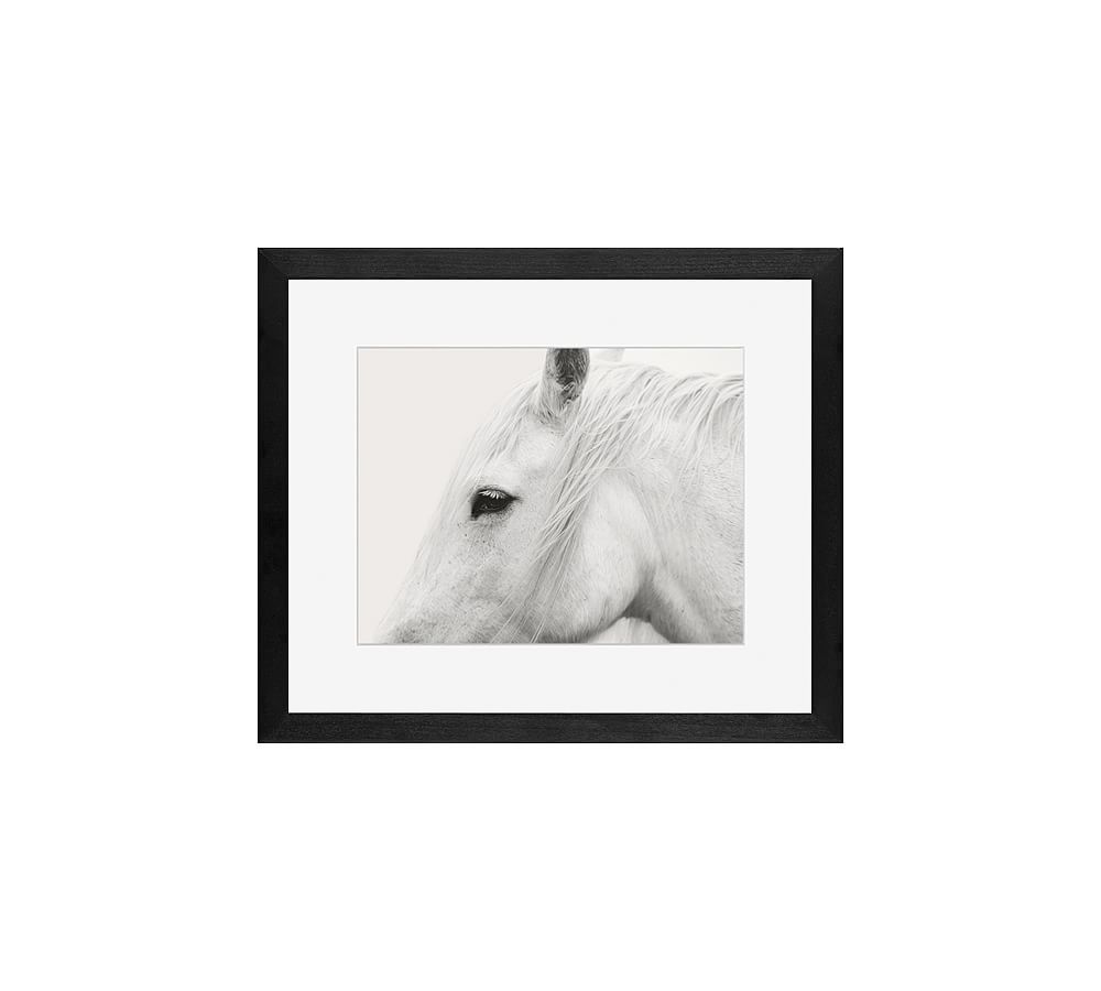 White Horse Framed Print by Jennifer Meyers