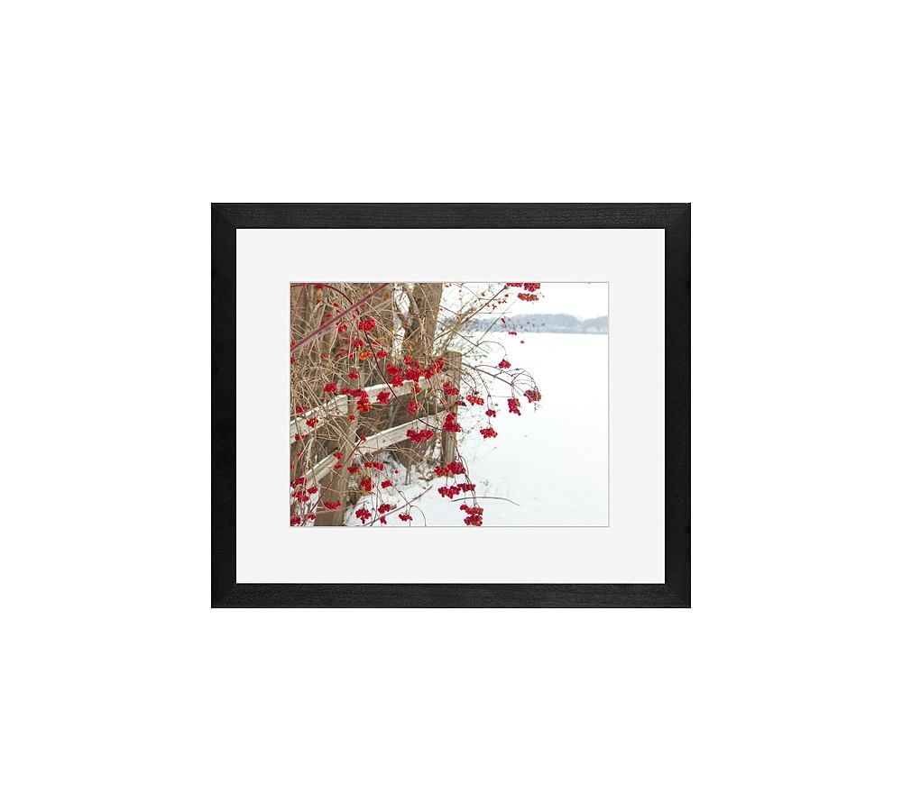 Winter Berries By Cindy Taylor