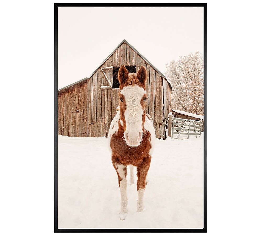 Barn Horse Winter by Jennifer Meyers
