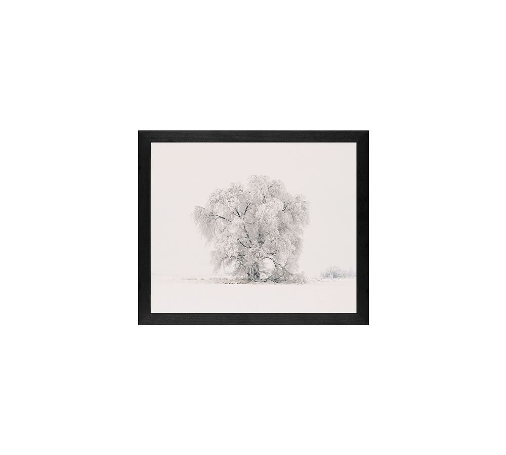 Winter Tree Framed Print by Jennifer Meyers
