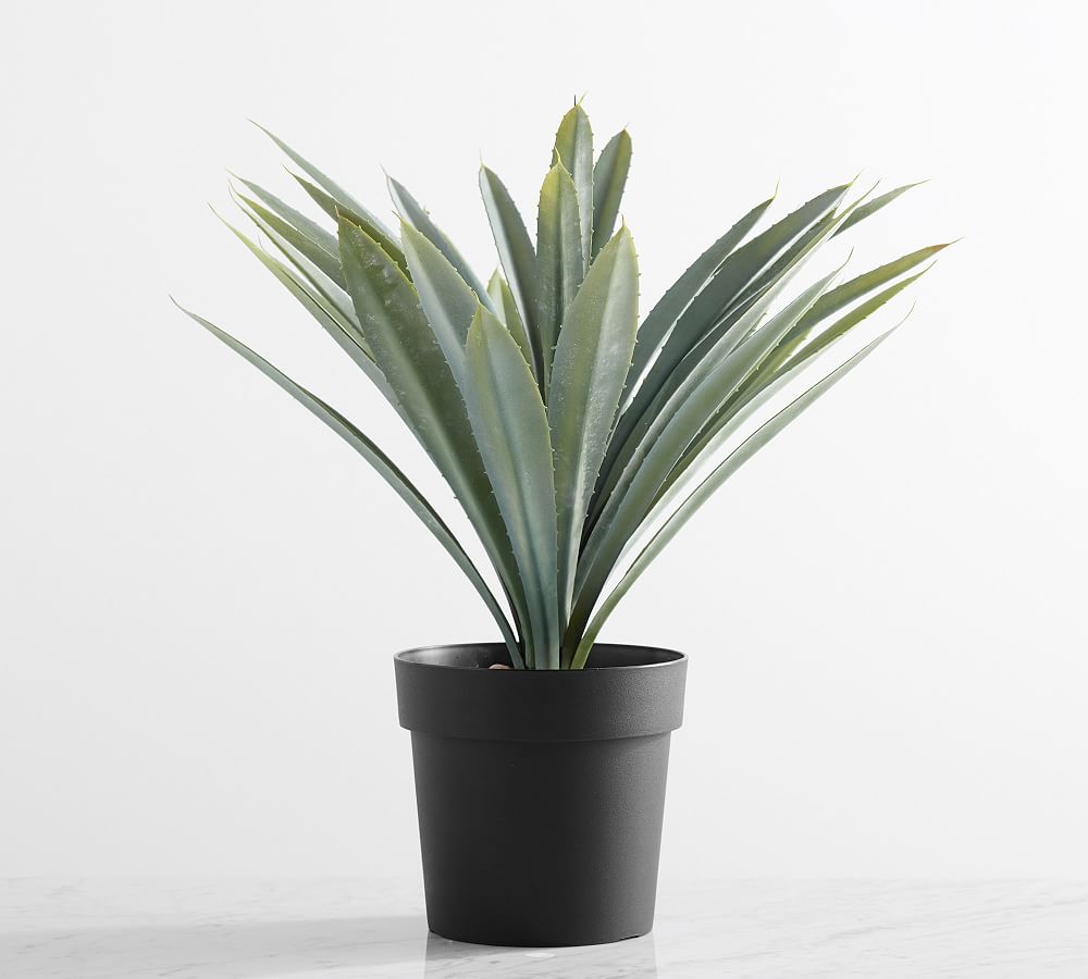 Faux Faded Striped Agave Plant