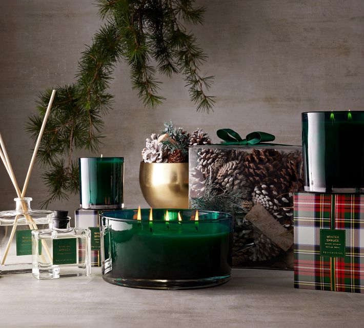 Winter Spruce Scent Collection Pottery Barn