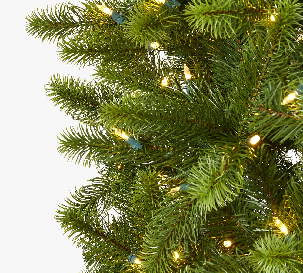 Lit Slim Virginia Spruce Faux Christmas Tree Pottery Barn
