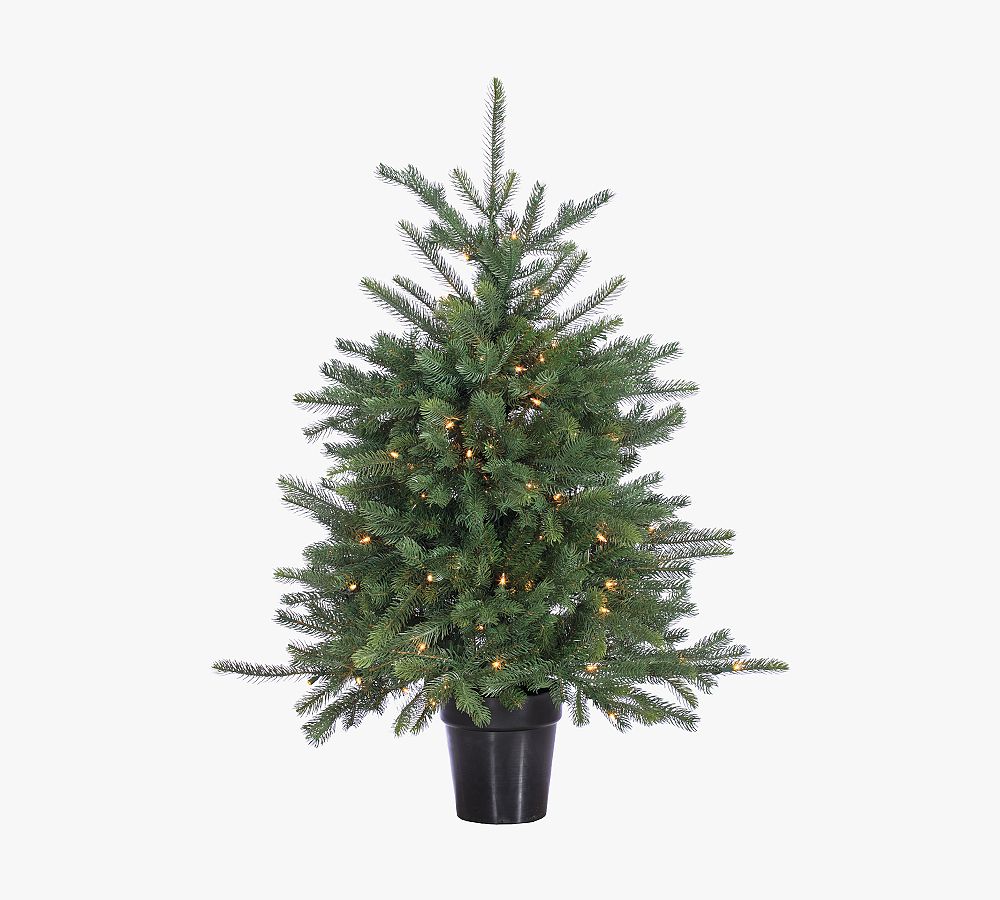 Potted Pine Tree With Clear Lights
