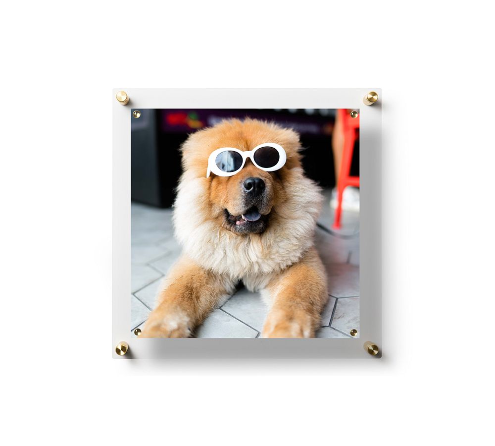 Pottery Barn Acrylic Floating Single Panel Gallery Frames with The Summit at Fritz Farm