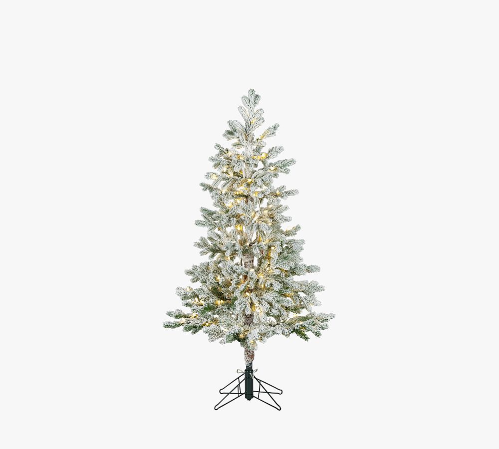 Flocked Rainer Pine Artificial Christmas Tree