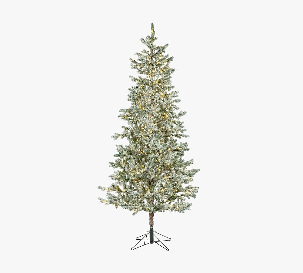 5' Flocked Grand Northern Rocky Fir Artificial Christmas Tree with