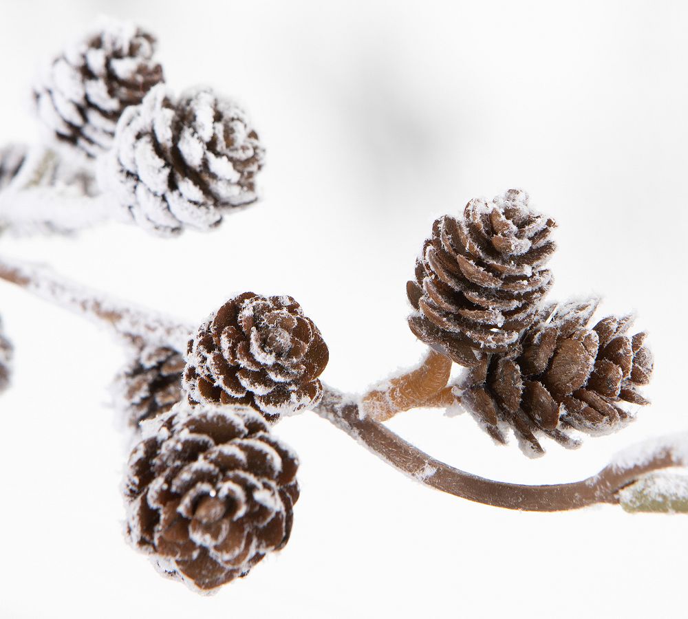 103, Christmas bells on a fir tree branch with pinecones