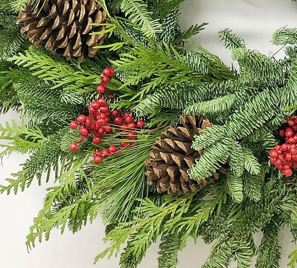 Fresh Pine Forest Wreath Pottery Barn