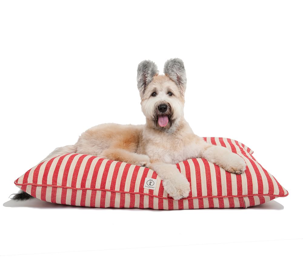 Giraffe Cotton Canvas Dog Bed | Harry Barker, Small / No