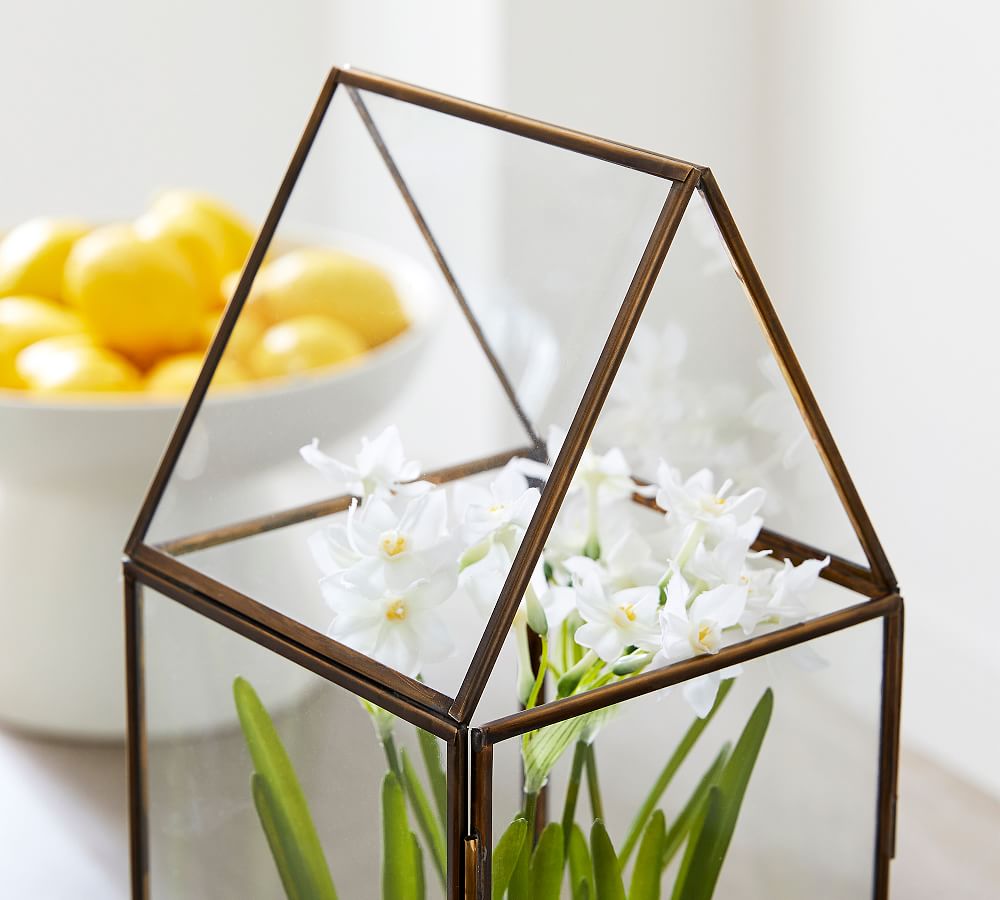 Tall Brass Terrarium Pottery Barn