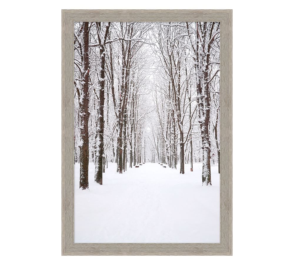 Winter's Path Framed Print