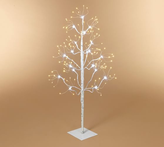 Lit Fairy Birch Tree Pottery Barn