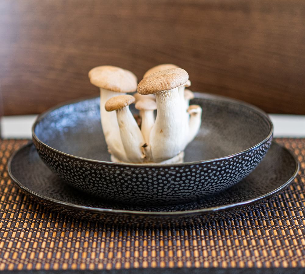 Serene Stoneware 16Piece Dinnerware Set Pottery Barn