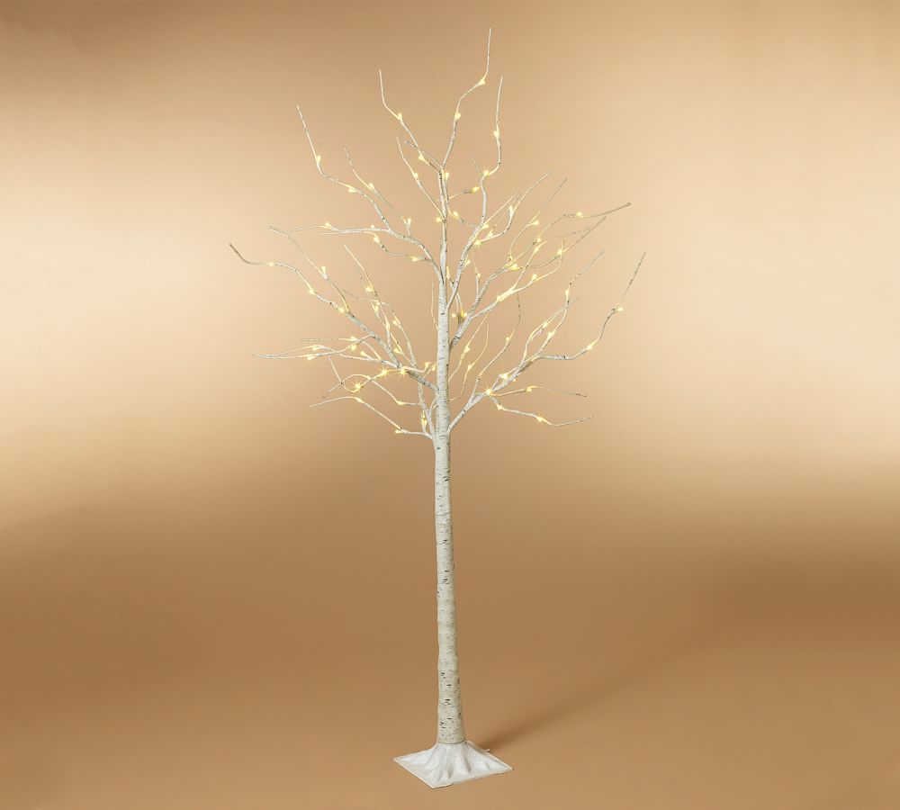 https://assets.pbimgs.com/pbimgs/ab/images/dp/wcm/202337/0148/open-box-light-up-icy-white-birch-tree-71-l.jpg