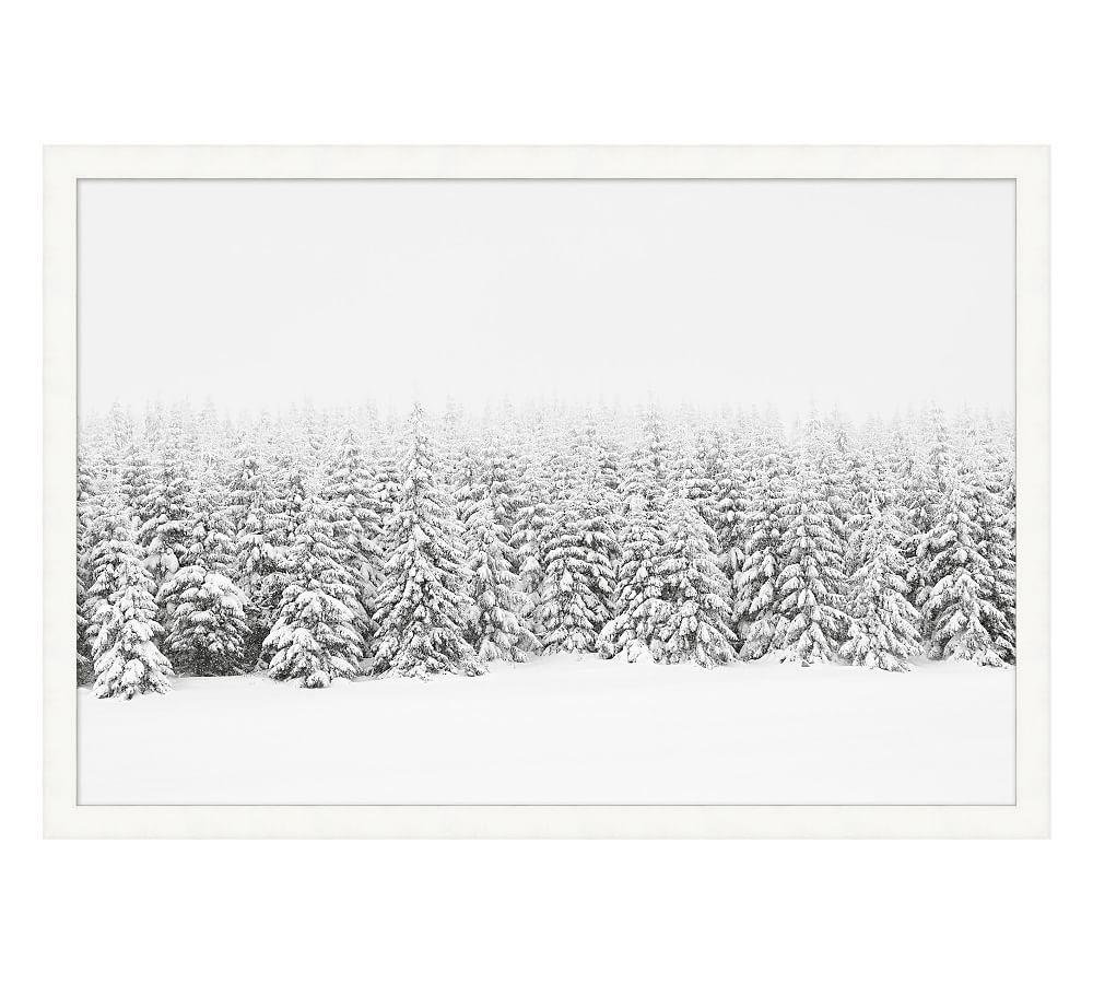 Snow Blanket Pines Framed Print