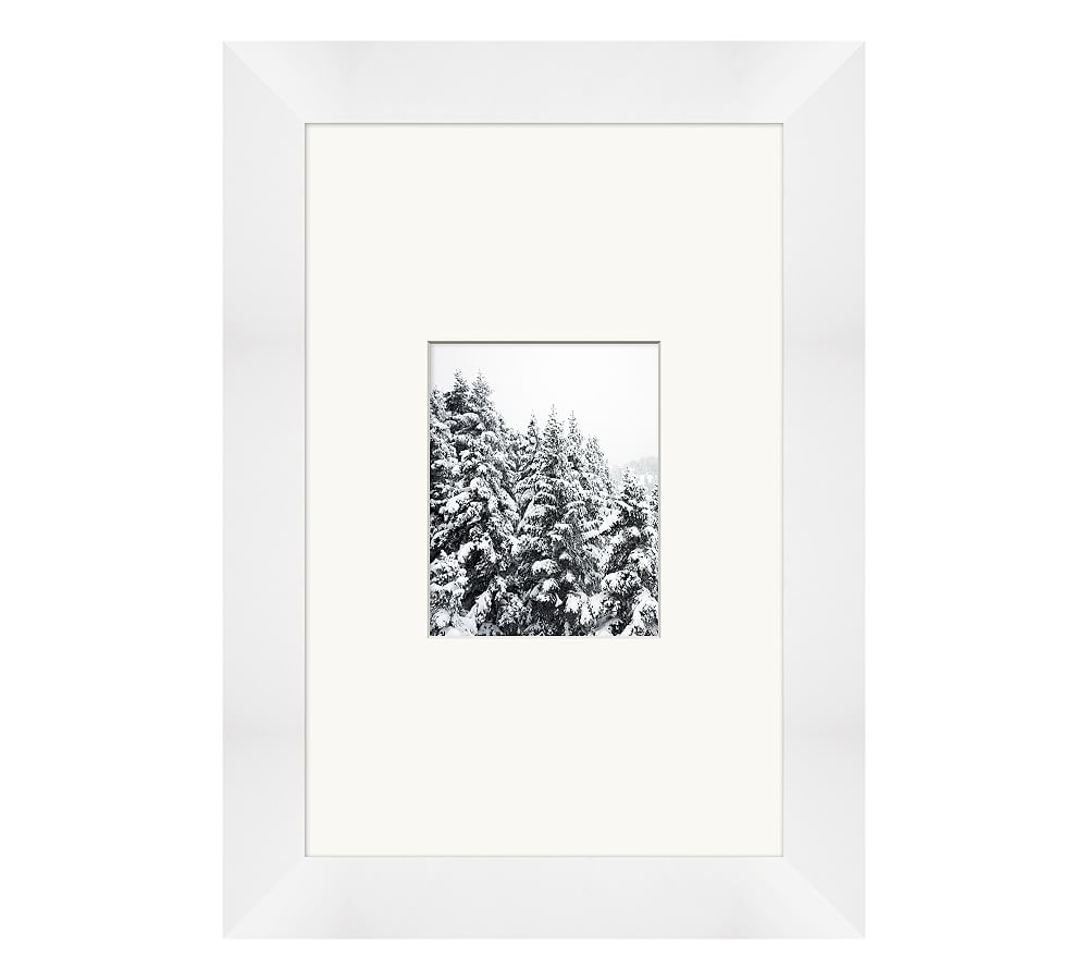 Snow Graced Pines Framed Prints