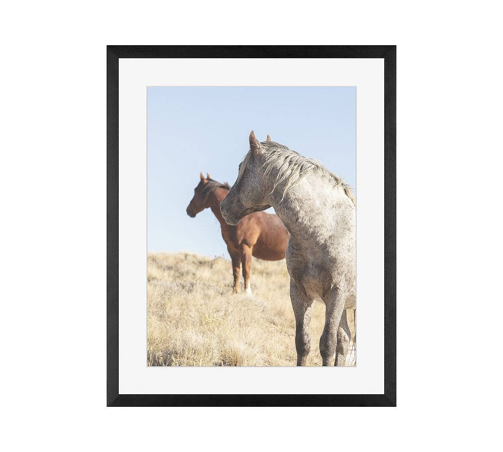 Attentive Horses by Jennifer Meyers