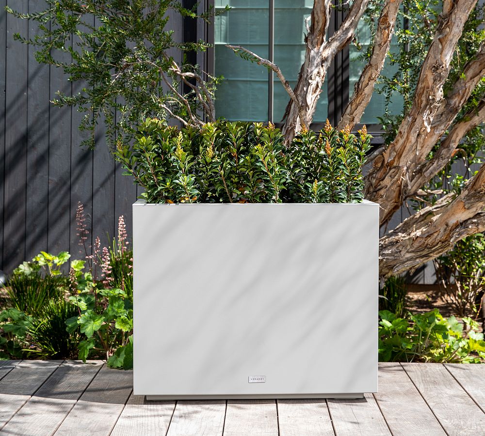 Buy online Toronto M Planter with Metal Stand - A planter with