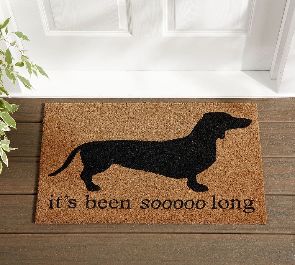 So Long Dog Doormat Pottery Barn