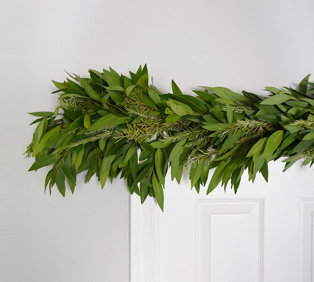 Fresh Bay Leaf And Rosemary Garland Pottery Barn