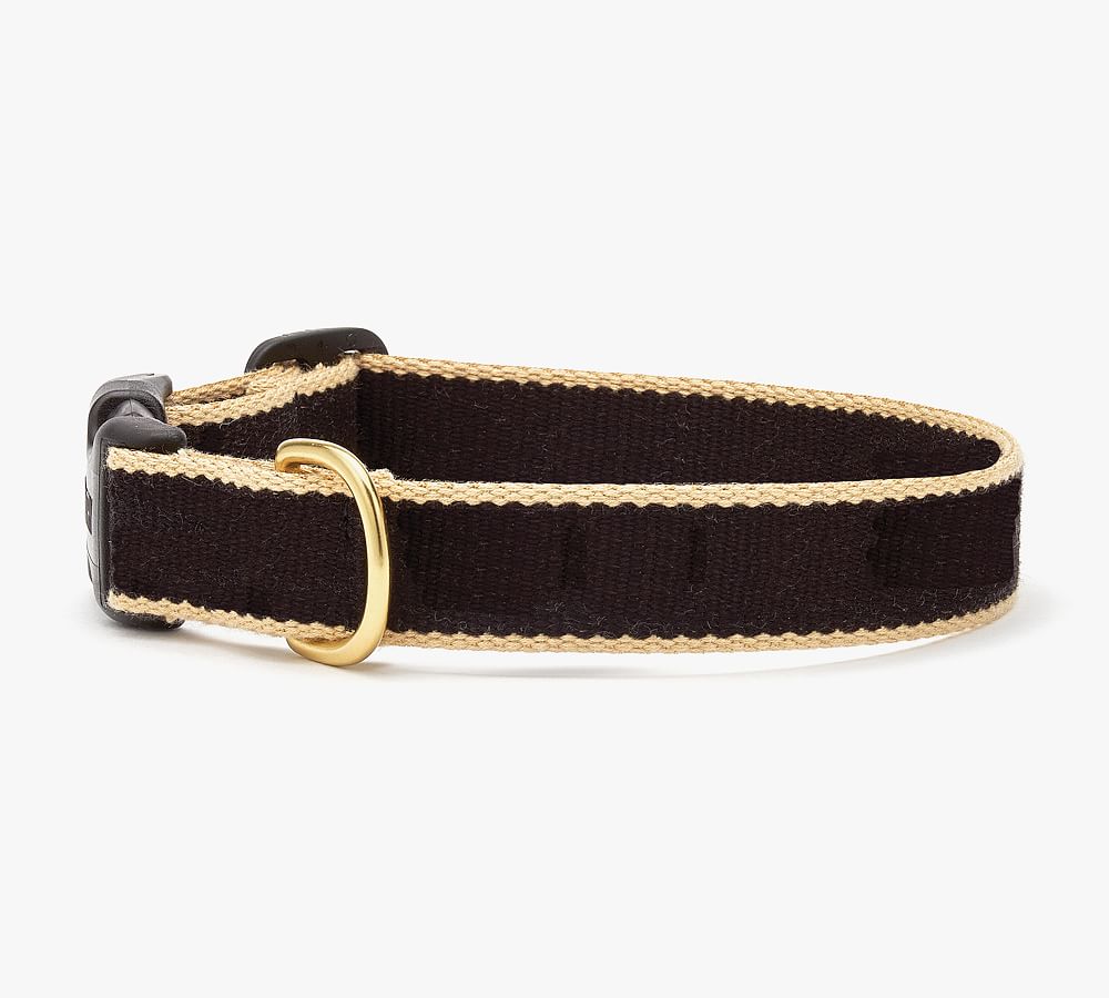 Two-Tone Collar with 5' Leash