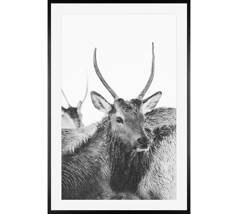 Winter Elk I by Jennifer Meyers