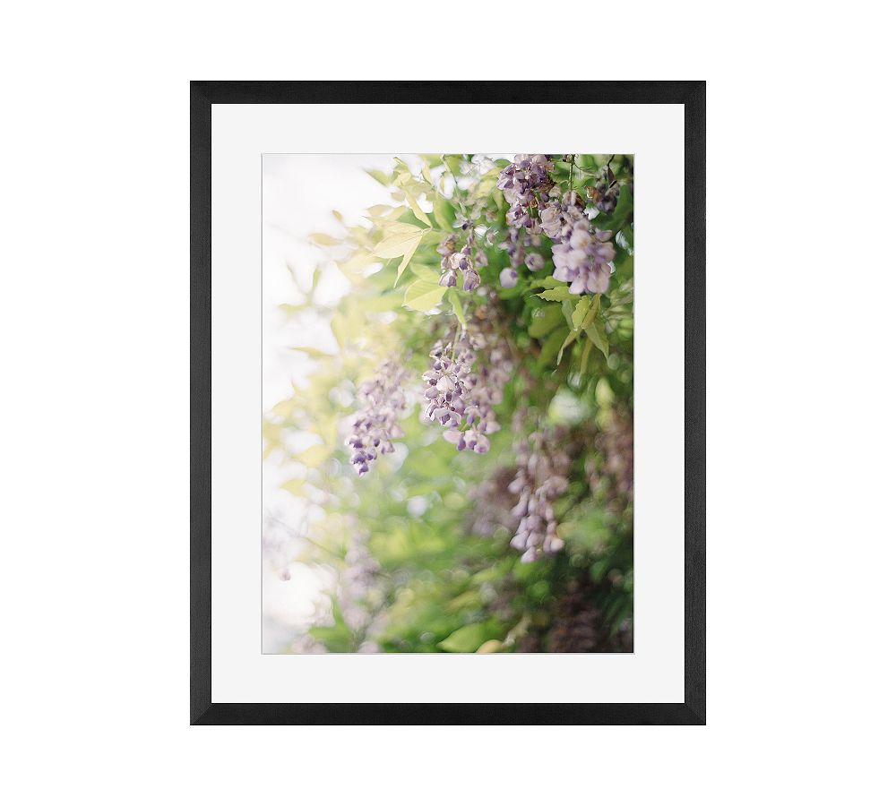 Purple Blossoms by Justine Milton