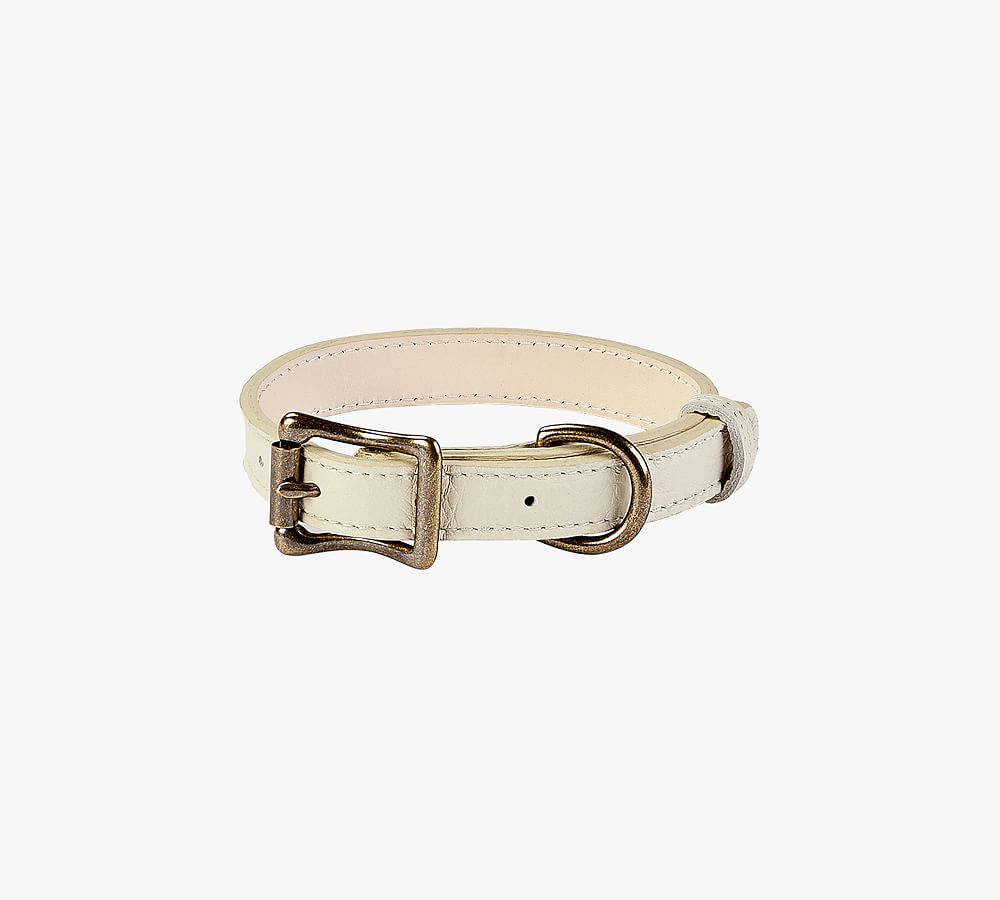 Vineyard vines outlet dog collar amazon