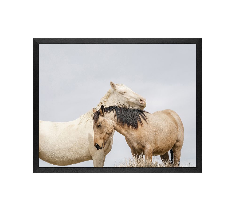 A Mother's Comfort, Wild Horses by Jennifer Meyers