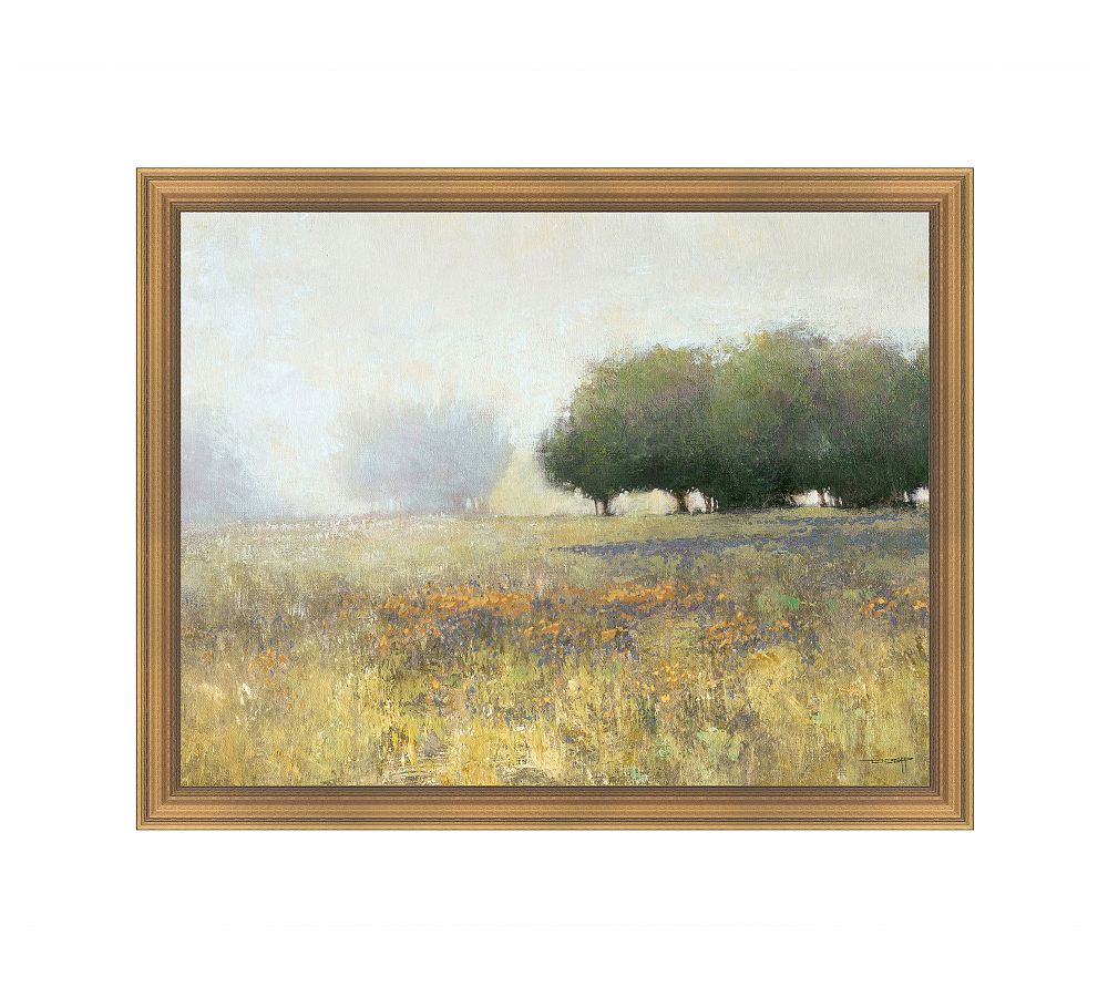 Saturday Fields Framed Canvas