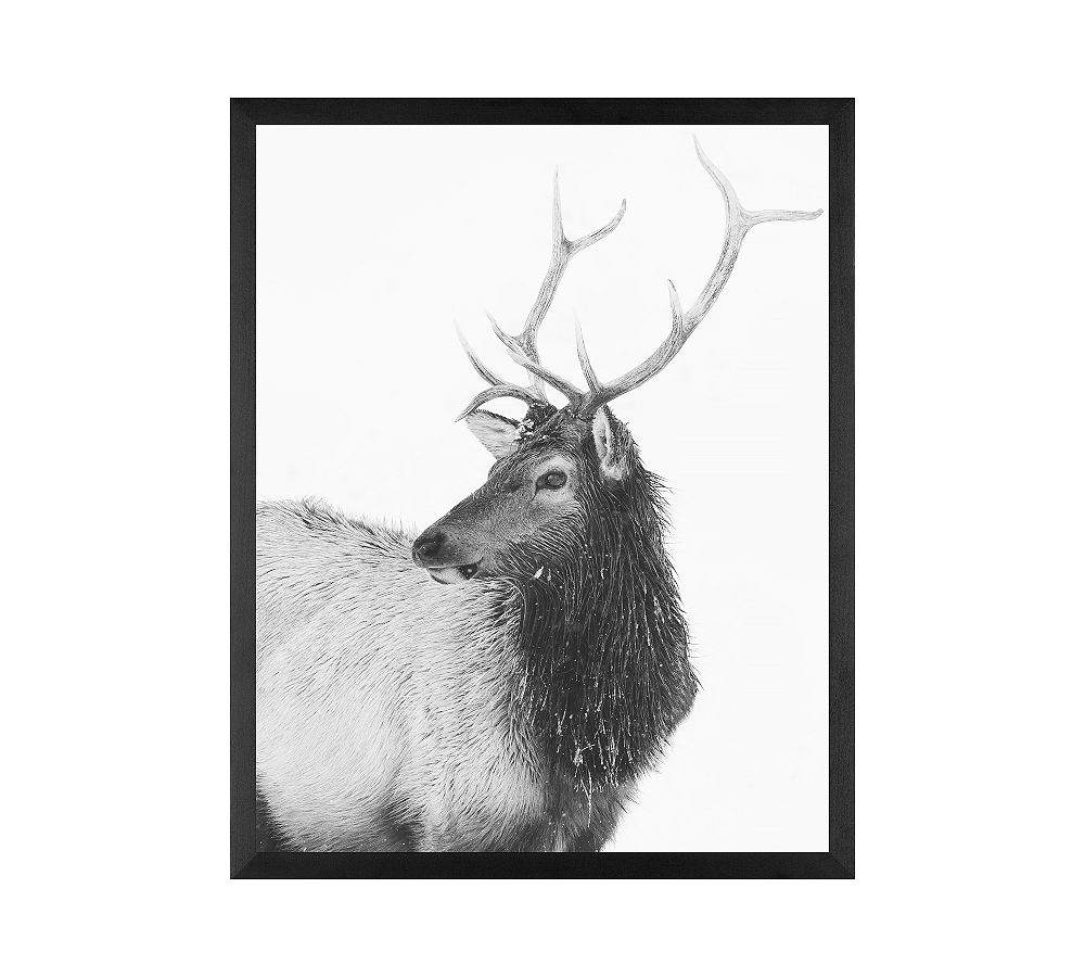 Winter Elk III by Jennifer Meyers
