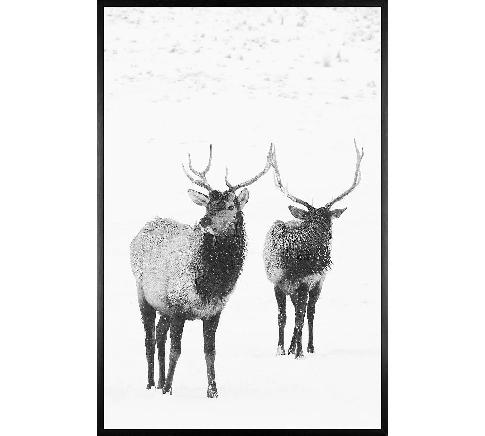 Winter Elk II by Jennifer Meyers