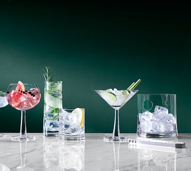 https://assets.pbimgs.com/pbimgs/ab/images/dp/wcm/202340/0701/gin-cocktail-glass-and-ice-bucket-set-m.jpg