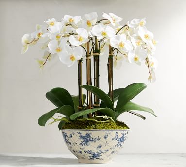 Faux Orchid in Rose Trellis Bowl | Artificial Flowers | Pottery Barn