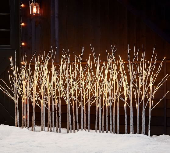 Lit Birch Tree Forest Pottery Barn