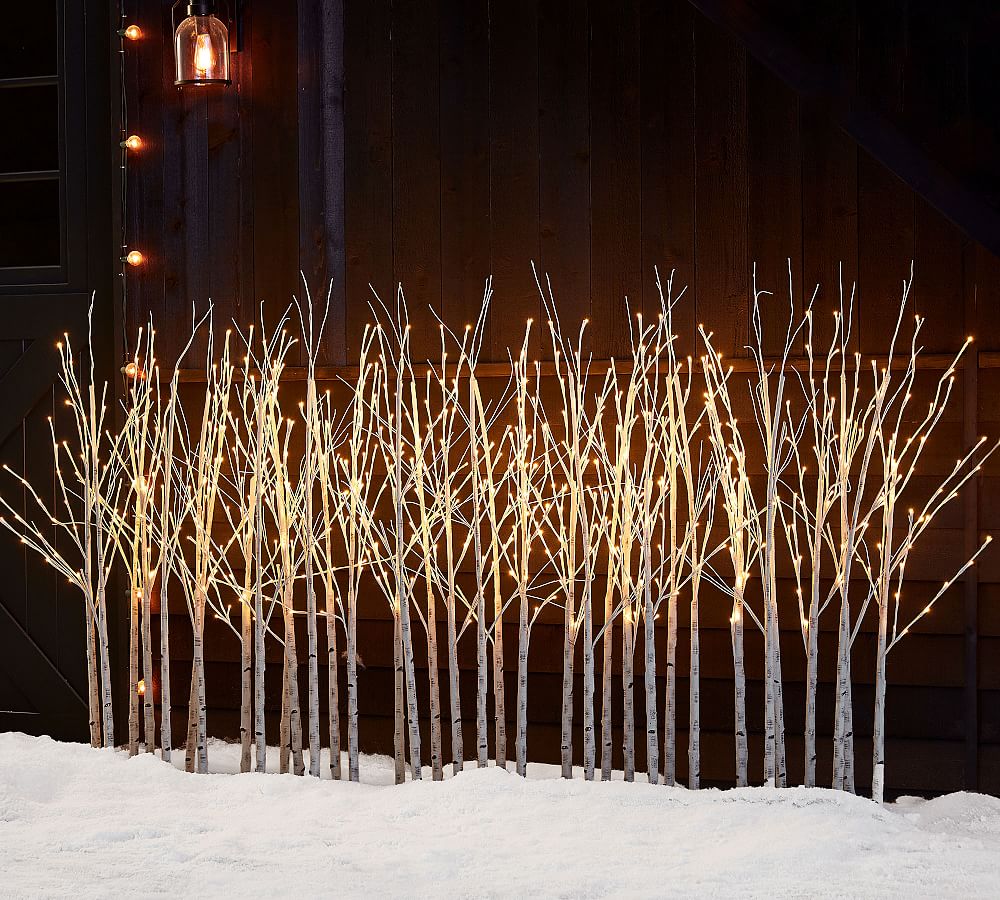 Lit Birch Tree Forest Pottery Barn