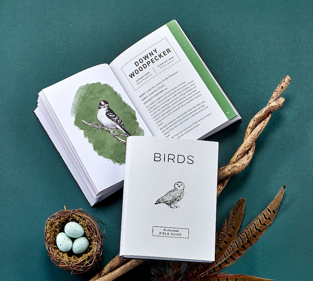 Birds An Illustrated Field Guide By Alice Sun & June Lee Leather-Bound Book