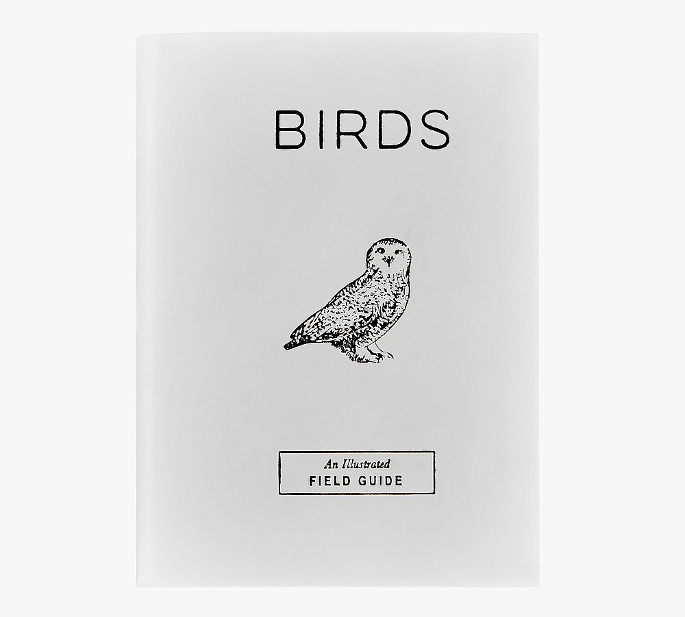 Birds An Illustrated Field Guide By Alice Sun & June Lee Leather-Bound Book